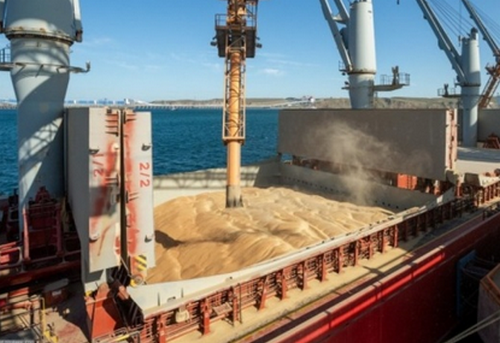 Bellingcat виявив новий канал контрабанди українського зерна Bellingcat виявив новий канал контрабанди українського зерна